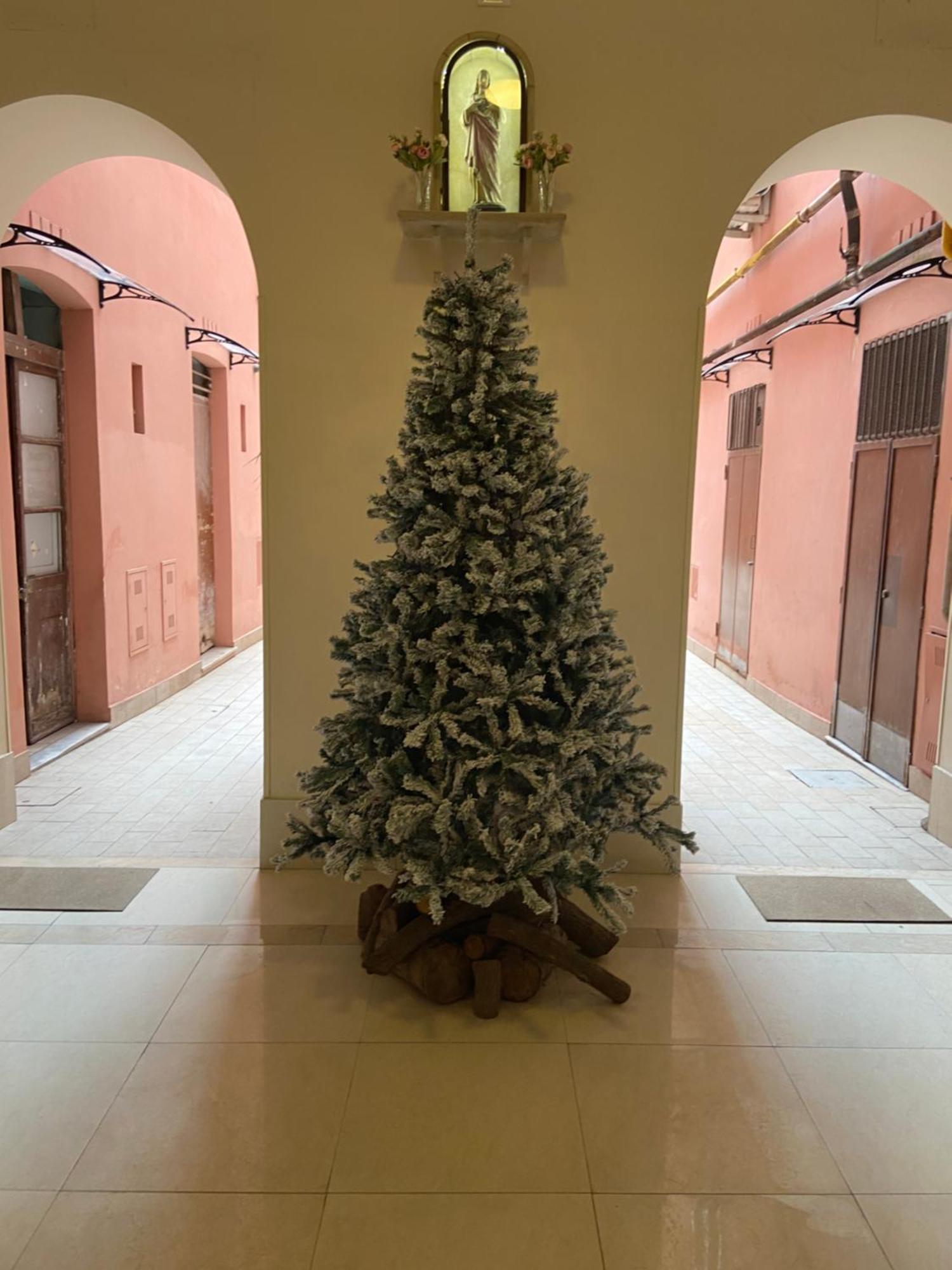 Blue Vatican House רומא מראה חיצוני תמונה